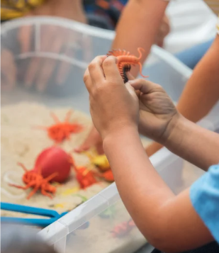 boxed-educational-kits